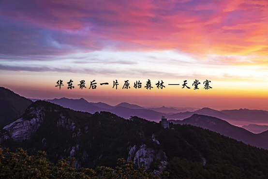 亿万先生·MR(中国)首页官网登录